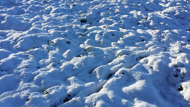 śnieg, Słońce, łąka