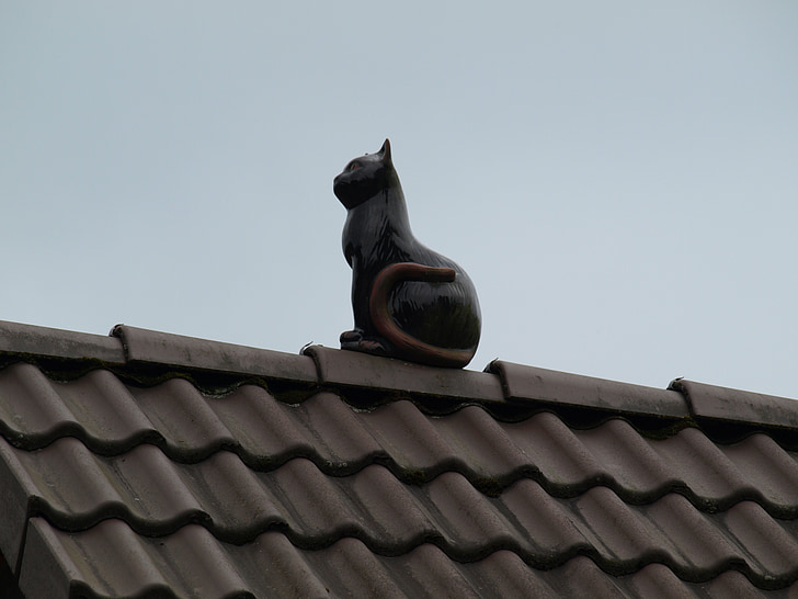 kedi, Deco, çatı, şekil, Dekorasyon