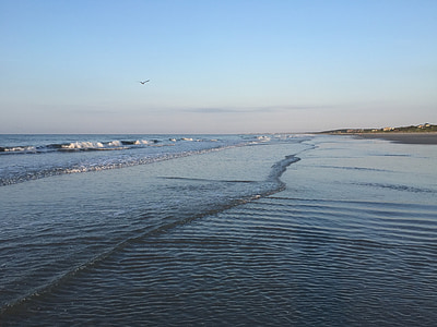 Kiawah, spiaggia, Atlantico, oceano, Carolina, sabbia, blu
