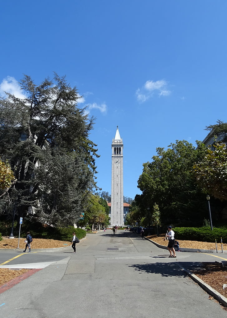 Campanile, Sather tower, Université, bâtiment, campus de, Californie, Cal