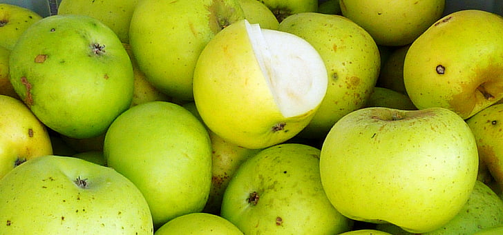 Apple, árvore de maçã, árvores, folhas, Boskop, colheita, frutas