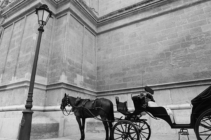 hest vogn, vogn, hester, Vintage, transport, transport, romantisk