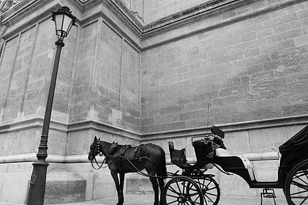 horse carriage, carriage, horses, vintage, transportation, transport, romantic