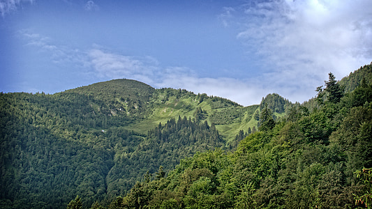 landskab, natur, Bayern, Oberbayern, Chiemgau, skov, fritid