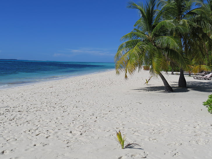 Malediivit, Kuredu, Intian valtameren, kesällä, Holiday, Beach, Sun