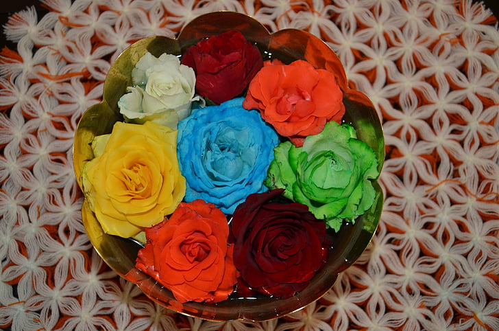 flores, Rosas coloridas, natural, 2013, ramo de la, flor color de rosa-, decoración
