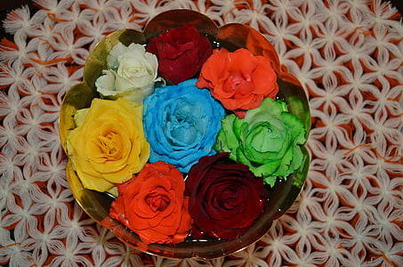 kvety, farebné ruže, prírodné, 2013, Kytica, ruža - kvet, dekorácie