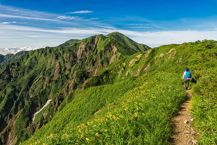 Trekking, Hakusan, Parc national, sentier, fleurs, été, Japon