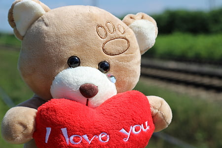 teddy bear crying, railway, stop child suicide, stop teenager suicide, stop student suicide, stop youth suicide, stop child abuse