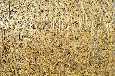hvete, landbruk, halm, Bale, en haug, gul, gården