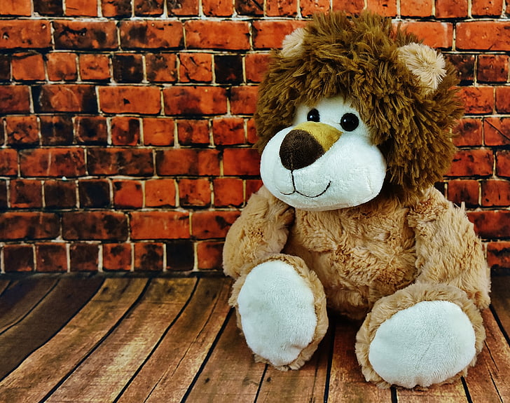 soft toy, lion, stuffed animal, funny, cute, kuschelweich, teddy bear