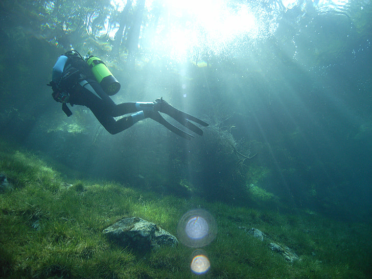 immersioni subacquee, Lago verde, foresta, prato, galleggiante, sott'acqua, immersioni subacquee