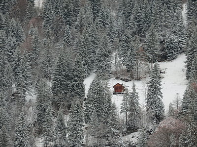 landskap, Mountain, Schweiz, naturen, snö, Panorama, träd