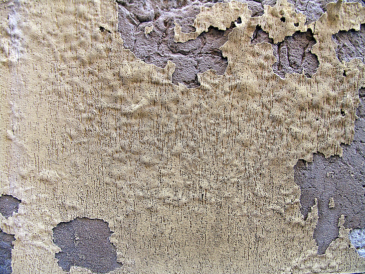 fons, paret, guix, textura, formigó, pedra, color