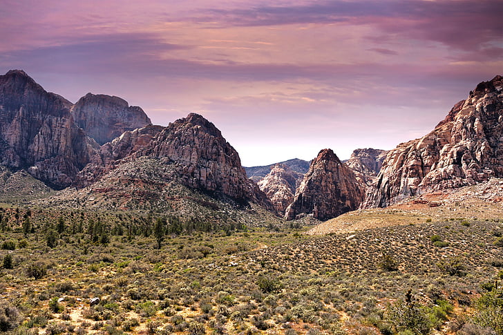 Red rock canyon, Canyon, Las Vegasissa, Desert, palo, Rock, Valley