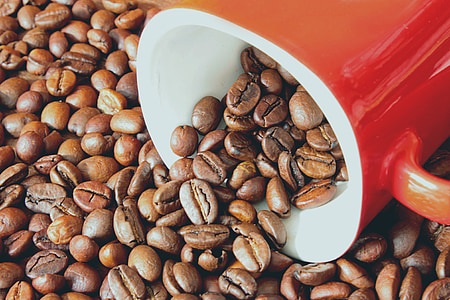 coffee beans, coffee, grains, drink, cup, coffee bean