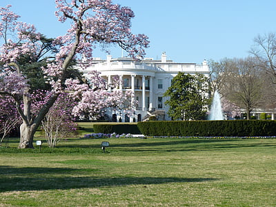 hvide hus, Washington dc, politik, regeringen, USA, Washington, USA