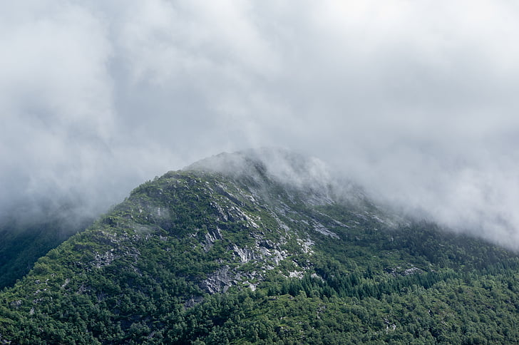 alam, pemandangan, Gunung, hutan, hutan, hijau, kabut