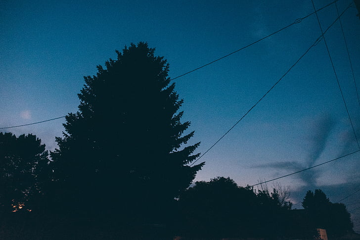 trees, dark, sky, sunset, dusk, night, evening