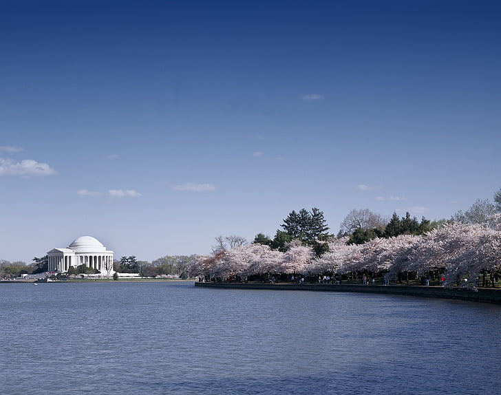 Jefferson memorial, landemerke, Washington dc, USA, nasjonale, turisme, president