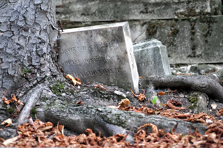 cemetery, tree, falls, disrepair, old, roots, damages