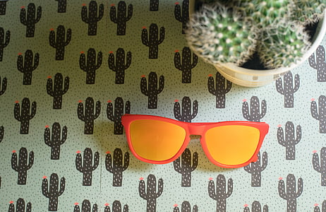 солнцезащитные очки, очки, очки, ФАС, моды, аксессуар, Солнце
