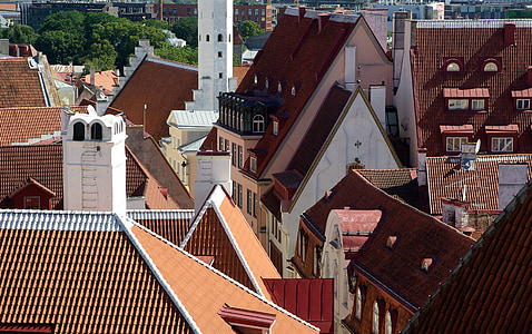 Estônia, Tallinn, para telhados, telhas, arquitetura
