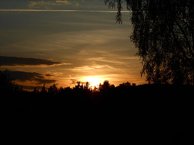 Sunset, puu, Horizon, taevas, valgus, päike, West