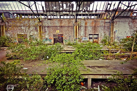 förlorade platser, gamla, Decay, ruin, Railway depot, tåg, tåg hall