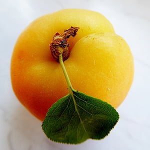 apricot, leaf, fruit, tender, vitamins, frisch, sweet