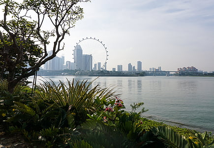 Singapore, Flyer, trädgård, Bay, pariserhjul, turism, landmärke