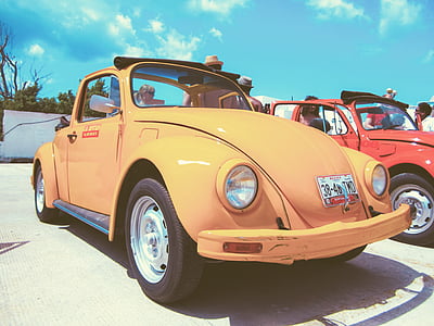 car, oldtimer, beetle, orange, retro, vintage, famous