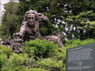 Denkmal, Charakter, Die Statue des, Carolus Linnaeus, Botanik, Skulptur, Wissenschaftler