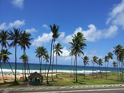 palmės, paplūdimys, vandenyno, jūra, rojus, atostogų