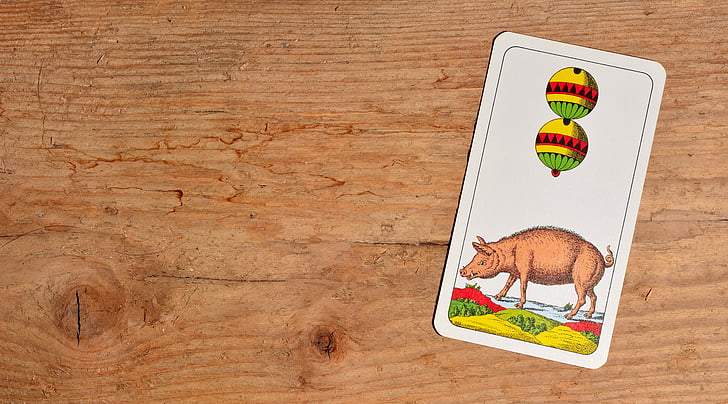 spelkort, klämmor, tysk kackerlacka, bakgrund, trä, djur