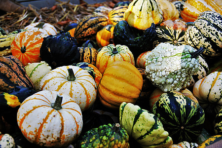 День благодарения, декоративные тыквы, сезонные осенние украшения, Хэллоуин, украшения, Multi цвета, желтый зеленый