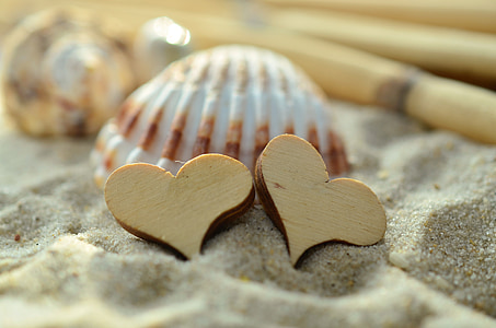 sable, coeur, bois, moules, plage, symbole, amour