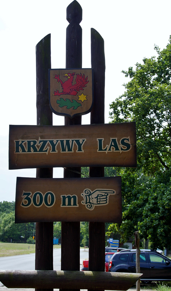 značka, ukazovateľ, smer, krivé lesa, krzywy las, Poľsko