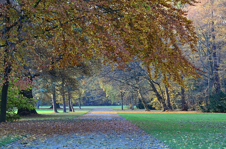 autunno, Kassel, Karlsaue, paesaggio, natura, foresta di autunno, distanza
