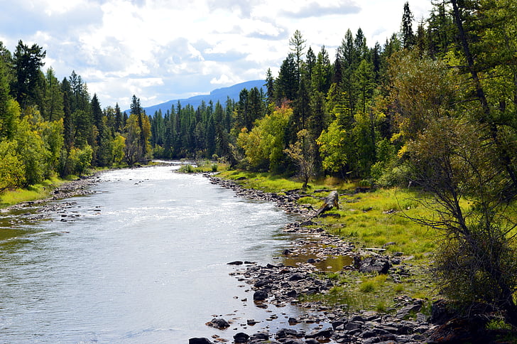 Montana, elven, landskapet, fjell, utendørs, natur, vann