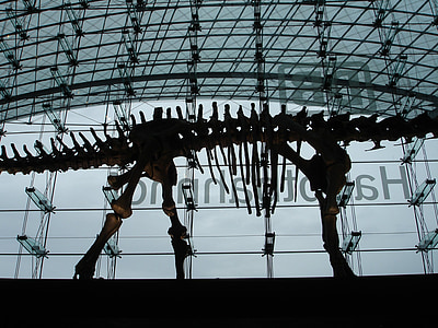 Железнодорожная станция, Конкорс, Берлин, динозавр, скелет динозавра, Скелет, назад свет