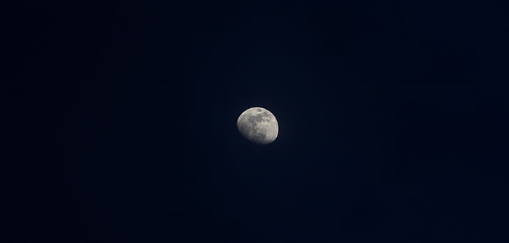 měsíc, světlo, noční fotografie, měsíční svit, Příroda, Moon milenci, Fotografie přírody