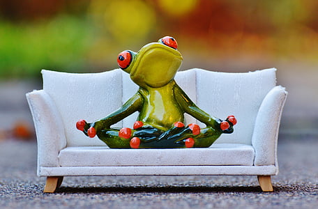 frog, sofa, relaxation, rest, funny, cute, figure