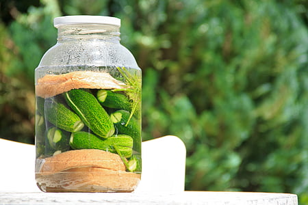 pickled cucumber, cucumber, food, green, vegetable, vegetarian, healthy
