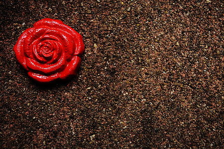 rose, gypsum, painted, craft, decorative, decoration, flower