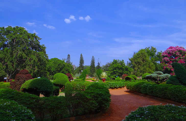 Kasvitieteellinen Puutarha, Lal bagh, Park, Puutarha, vihreys, Bangalore, Intia