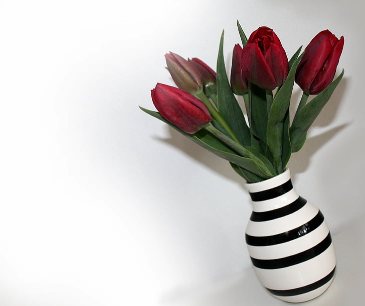 tulipas, buquê, vaso, flores, vermelho, listras, Primavera