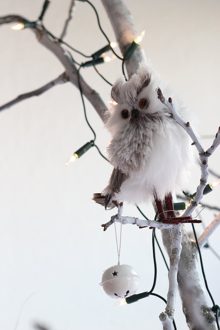 Vianočný strom, Sova, biela, Vianoce, Vianočné čačky