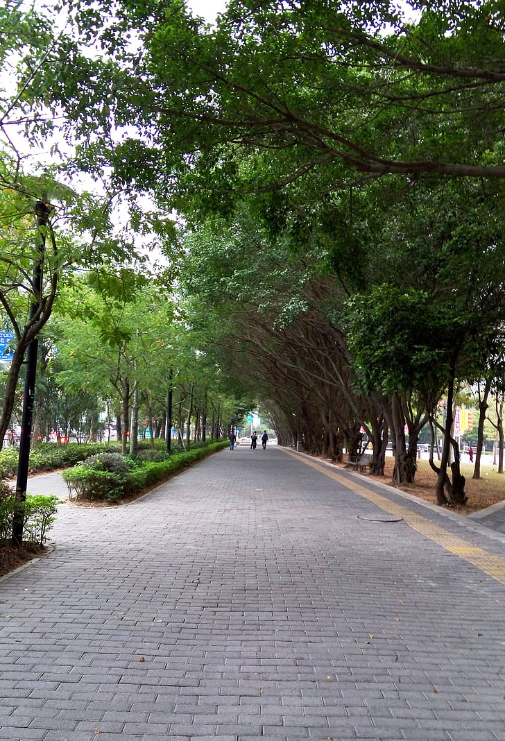 stadens hörn, Shenzhen, Road, Figur, Leisure