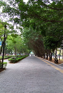 byen hjørne, Shenzhen, Road, figur, fritid